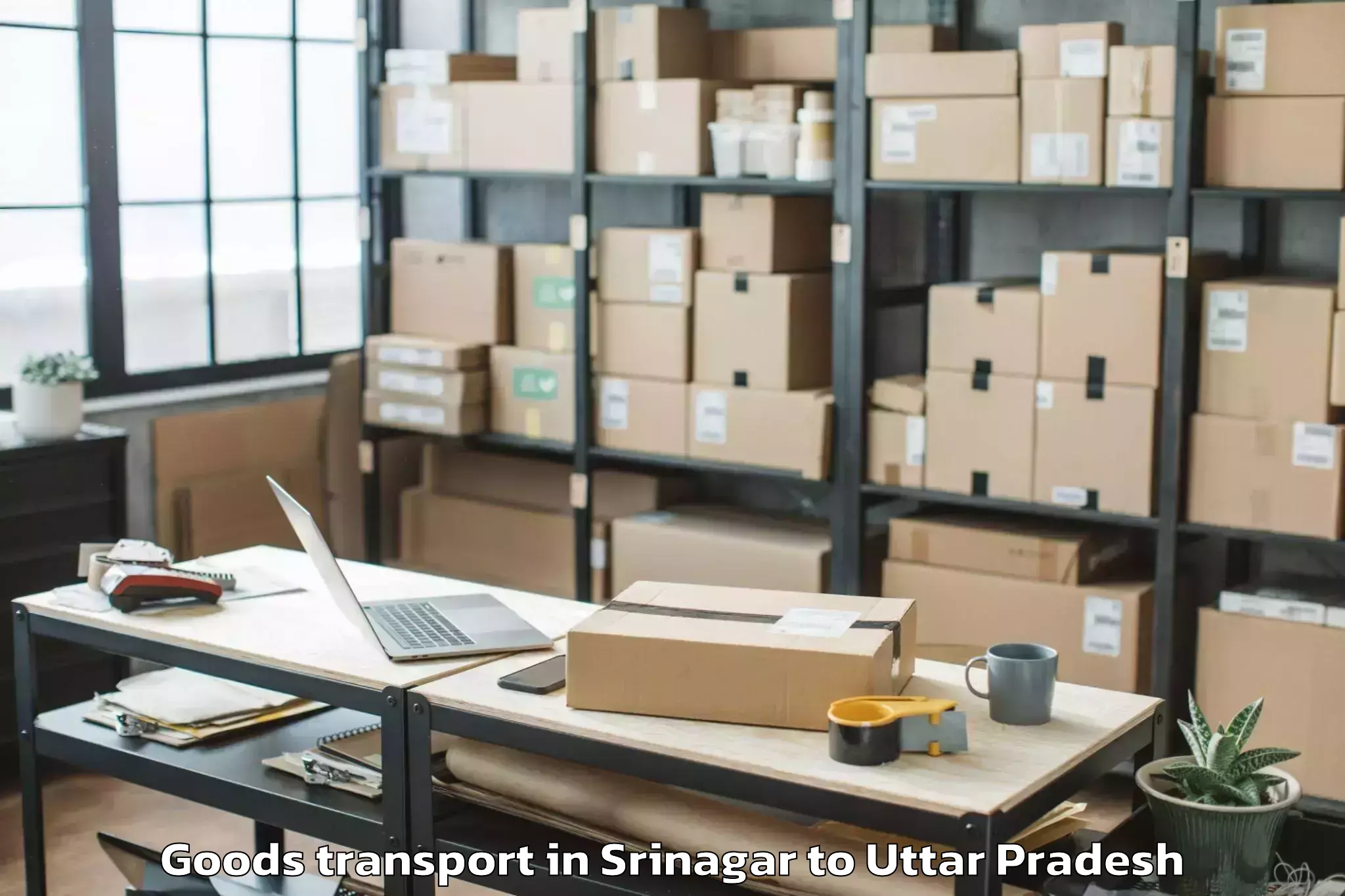 Leading Srinagar to Sardhana Goods Transport Provider